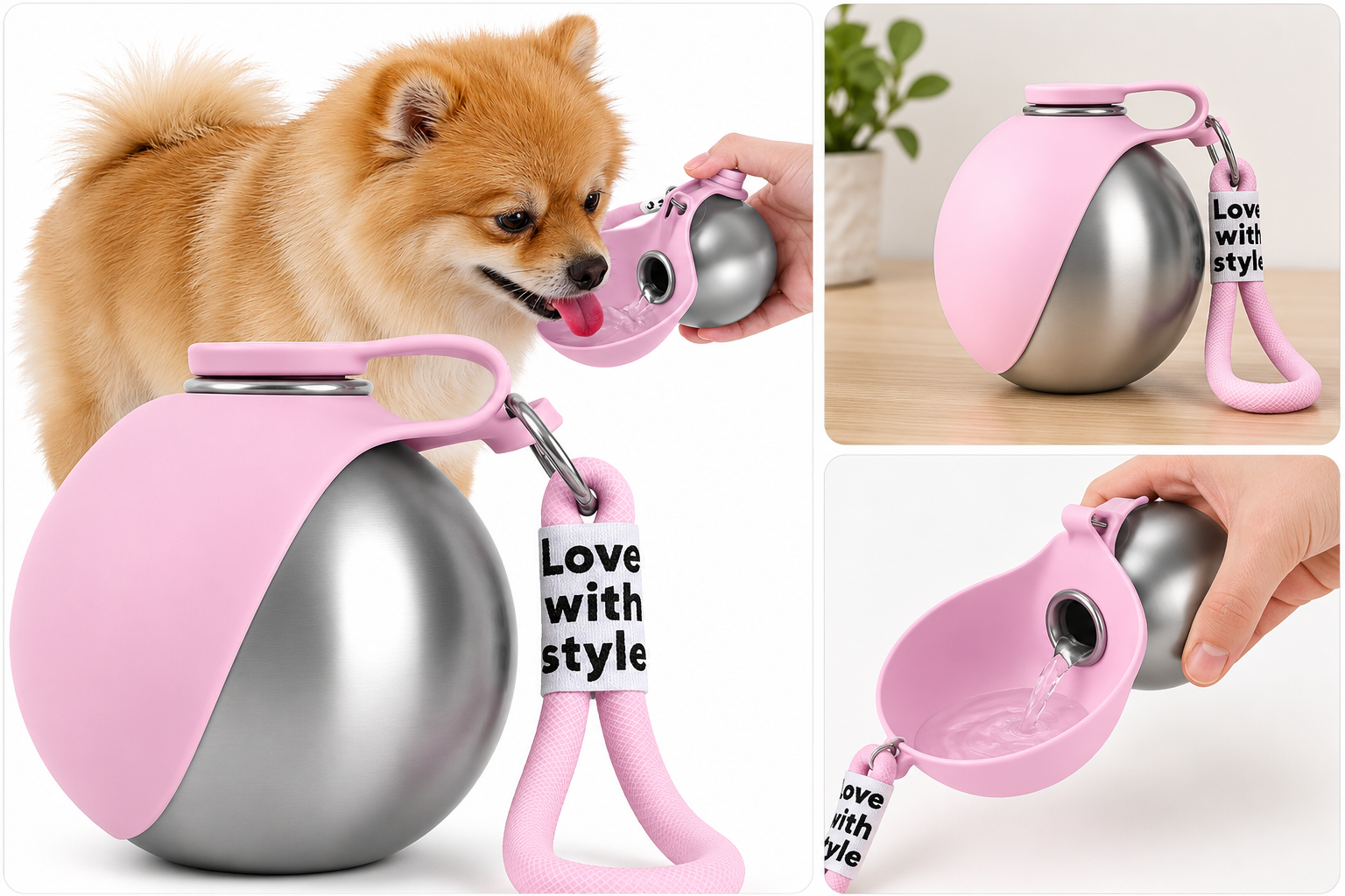 Travel Water Bottle